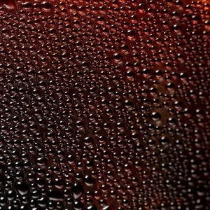 Meet your Posher, Steve